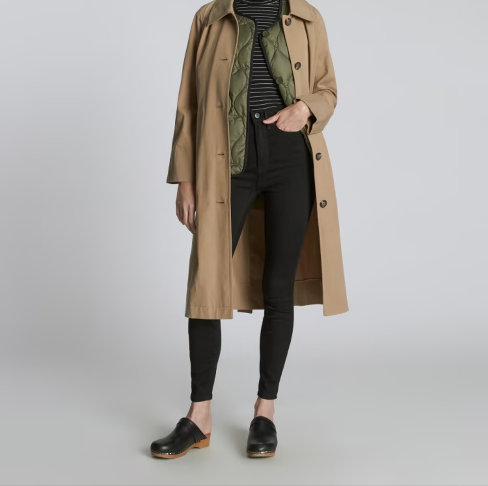 Everlane The Way-High® Skinny Jean
